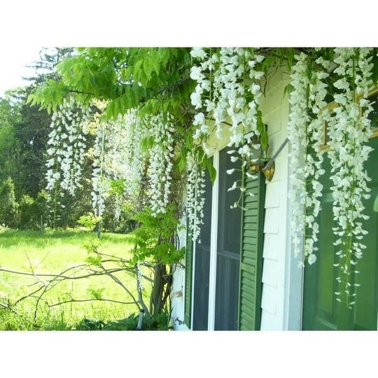 gracie-oaks-silk-hanging-wisteria-stem-set-of-72-1