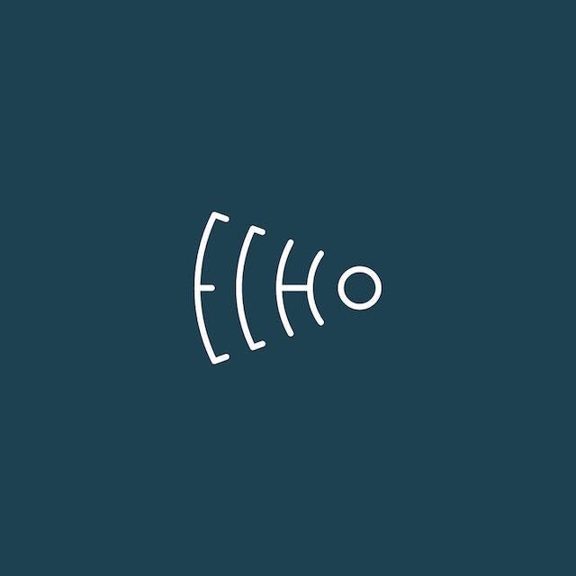 Clever Typographic Logos - Echo