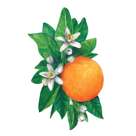orange-blossom-table-accent-set-of-12-1