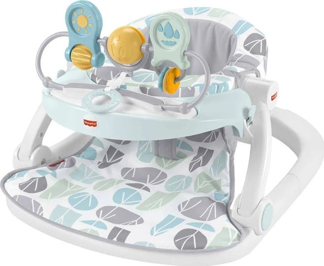 fisher-price-deluxe-sit-me-up-floor-seat-pebble-stream-baby-chair-1