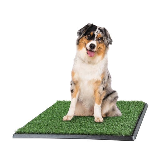 petmaker-puppy-potty-trainer-the-indoor-restroom-for-pets-1