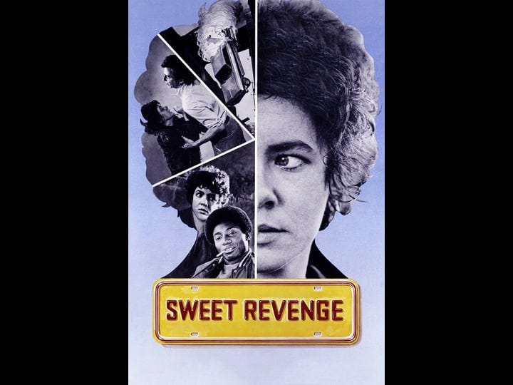 sweet-revenge-tt0076789-1