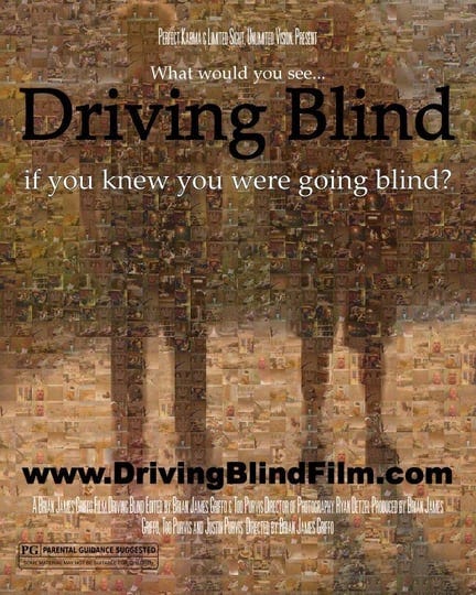 driving-blind-5008630-1