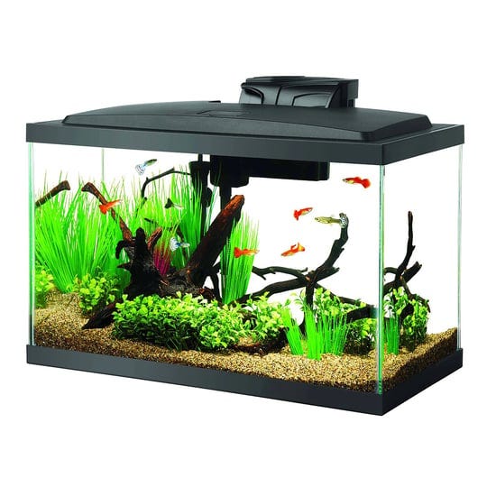 aqueon-10-gal-led-aquarium-kit-1