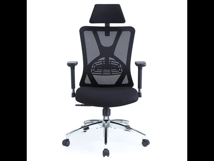 ticova-ergonomic-office-chair-high-back-desk-chair-with-adjustable-lumbar-support-headrest-3d-metal--1