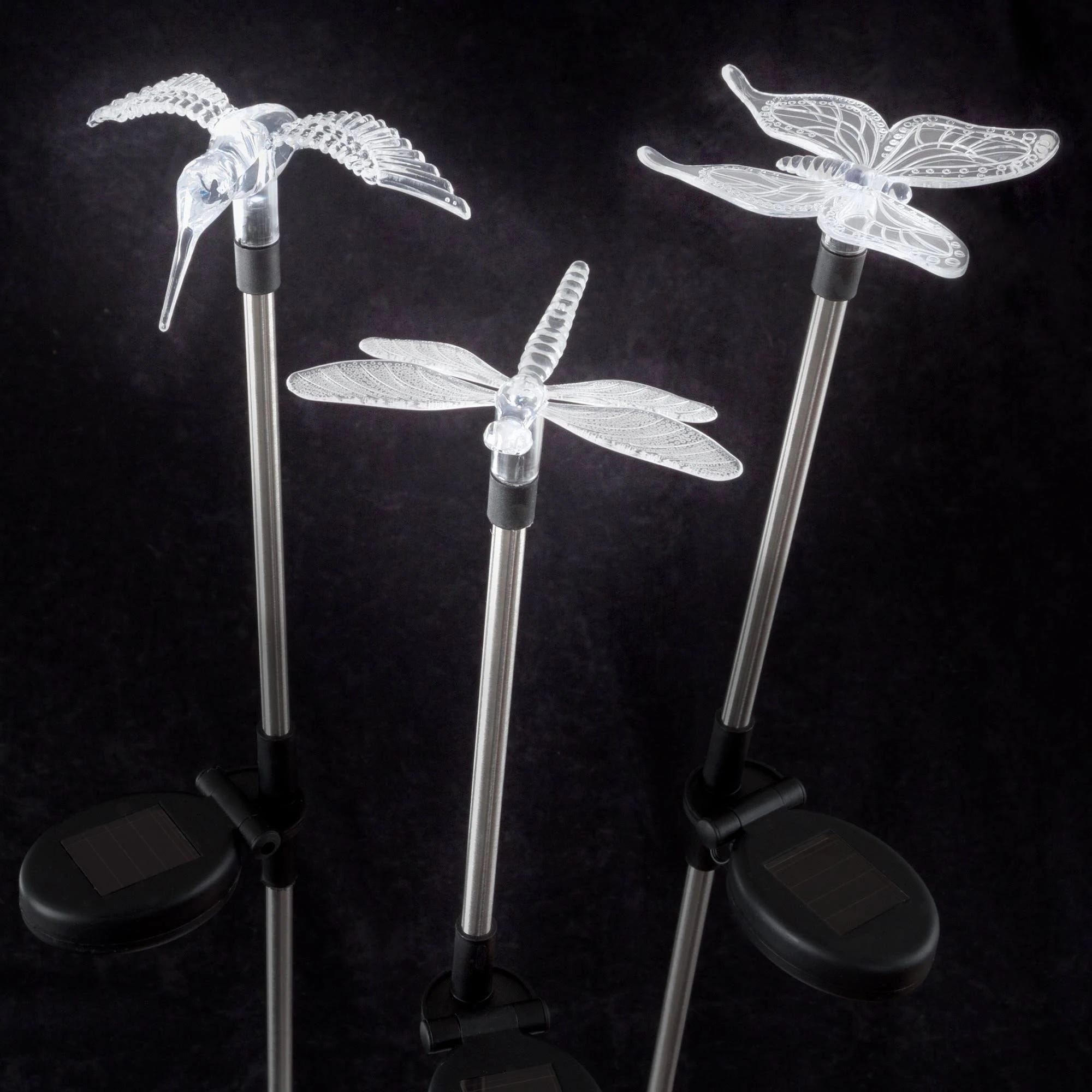 Enhance Your Outdoor Space with Solar Butterfly Lights | Image