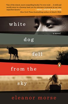 white-dog-fell-from-the-sky-3191456-1