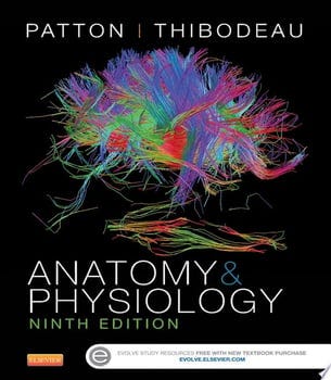 anatomy-and-physiology-adapted-international-edition-e-book-58950-1