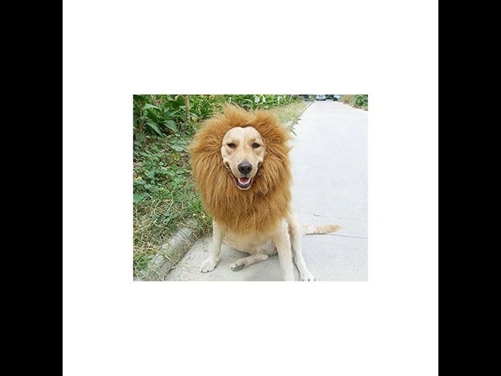 dog-lion-mane-wig-light-brown-adjustable-comfortable-funny-wig-with-ears-for-dog-costume-pet-fancy-h-1