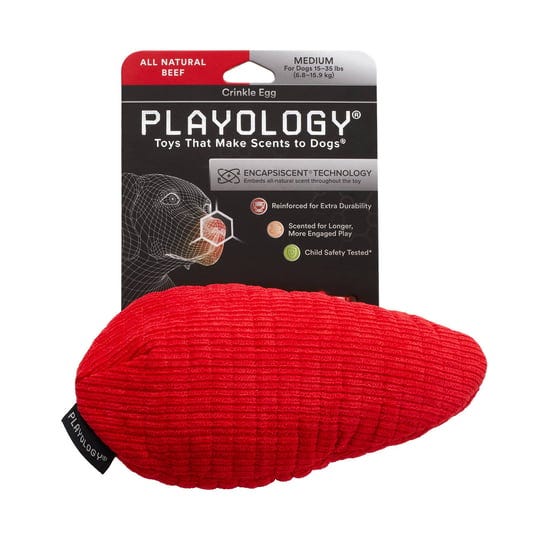 playology-plush-crinkle-egg-dog-toy-beef-medium-1