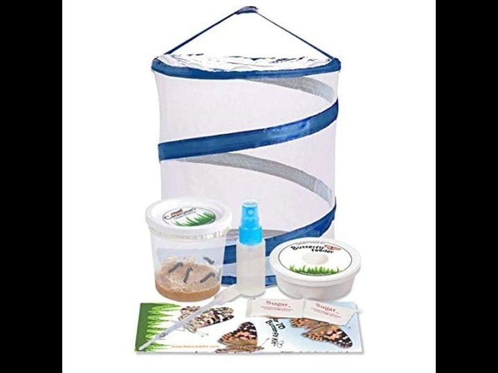 nature-gift-store-live-butterfly-kit-shipped-with-5-painted-lady-caterpillars-now-pop-up-cage-1