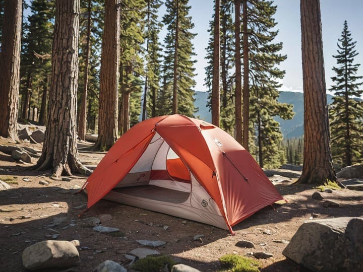 Big-Agnes-Scout-2-Carbon-3