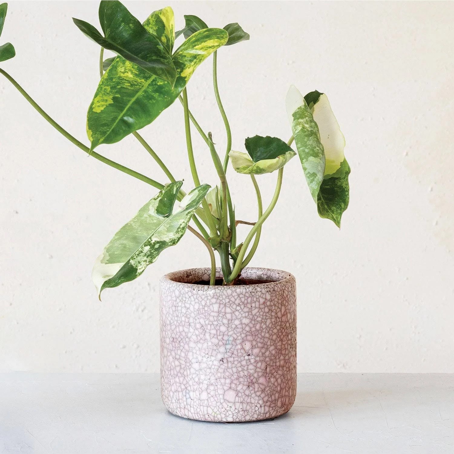 Pink Terracotta Plant Holder | Image