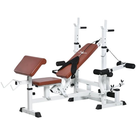 soozier-multi-exercise-full-body-weight-rack-with-bench-press-leg-extension-chest-fly-resistance-ban-1