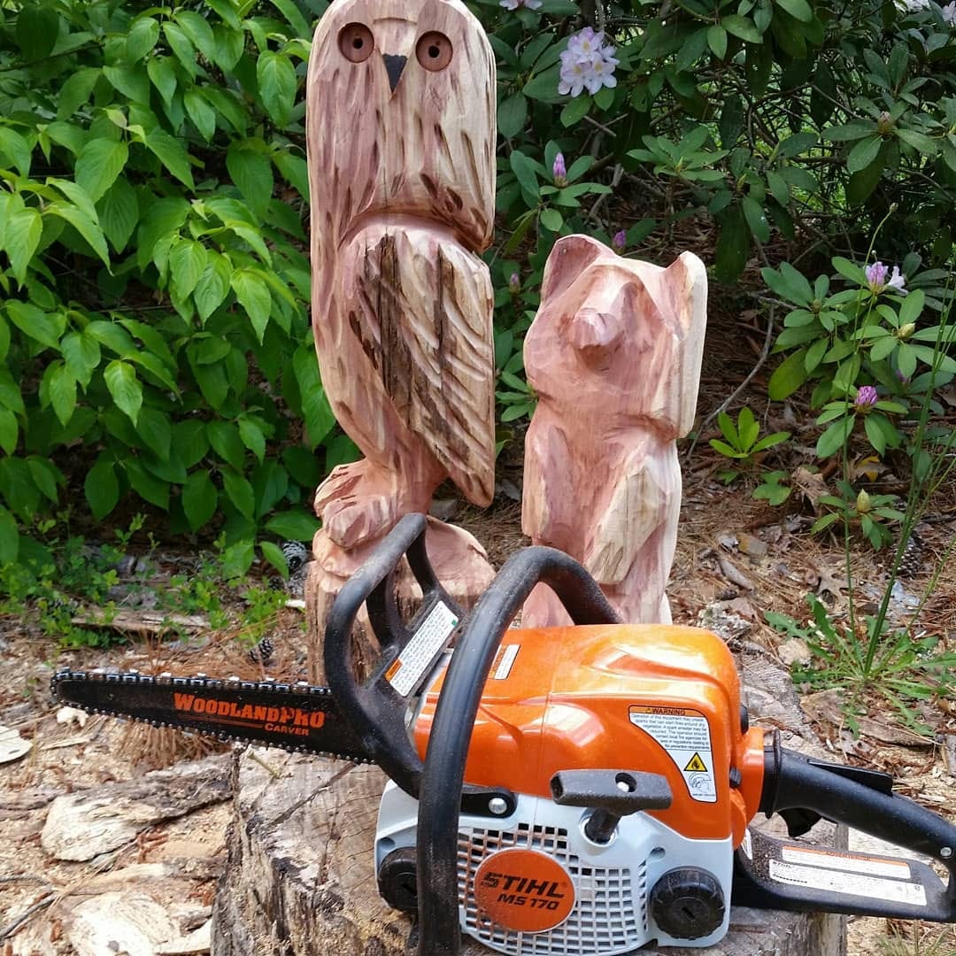 Best Chainsaw for Carving: Top Picks for Precision Work