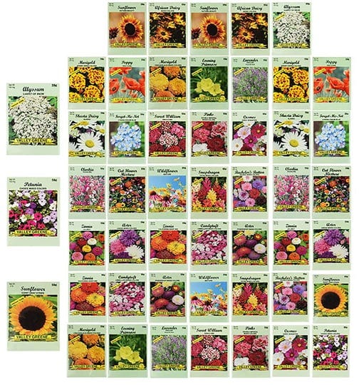 set-of-50-assorted-flower-seed-packets-flower-seeds-in-bulk-20-varieties-ava-1