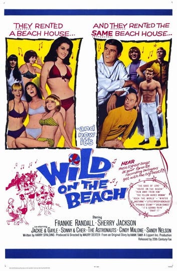 wild-on-the-beach-871895-1