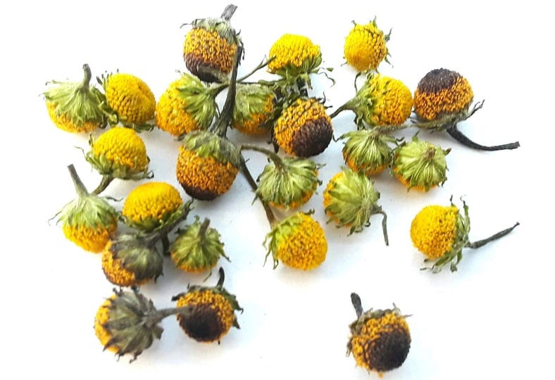 dried-buzz-buttons-szechuan-flowers-fifty-fifty-blend-of-100-individual-dried-edible-flowers-lemon-d-1