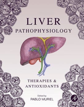 liver-pathophysiology-505195-1