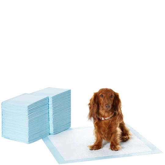 pet-training-and-puppy-pads-regular-100-count-1