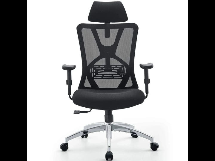 ticova-ergonomic-office-chair-high-back-desk-chair-with-adjustable-lumbar-1