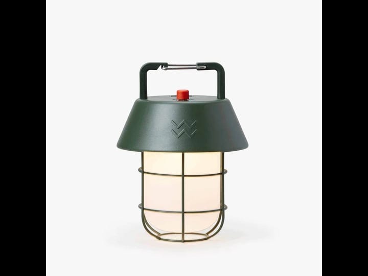 hanging-camp-lantern-lichen-green-wren-1