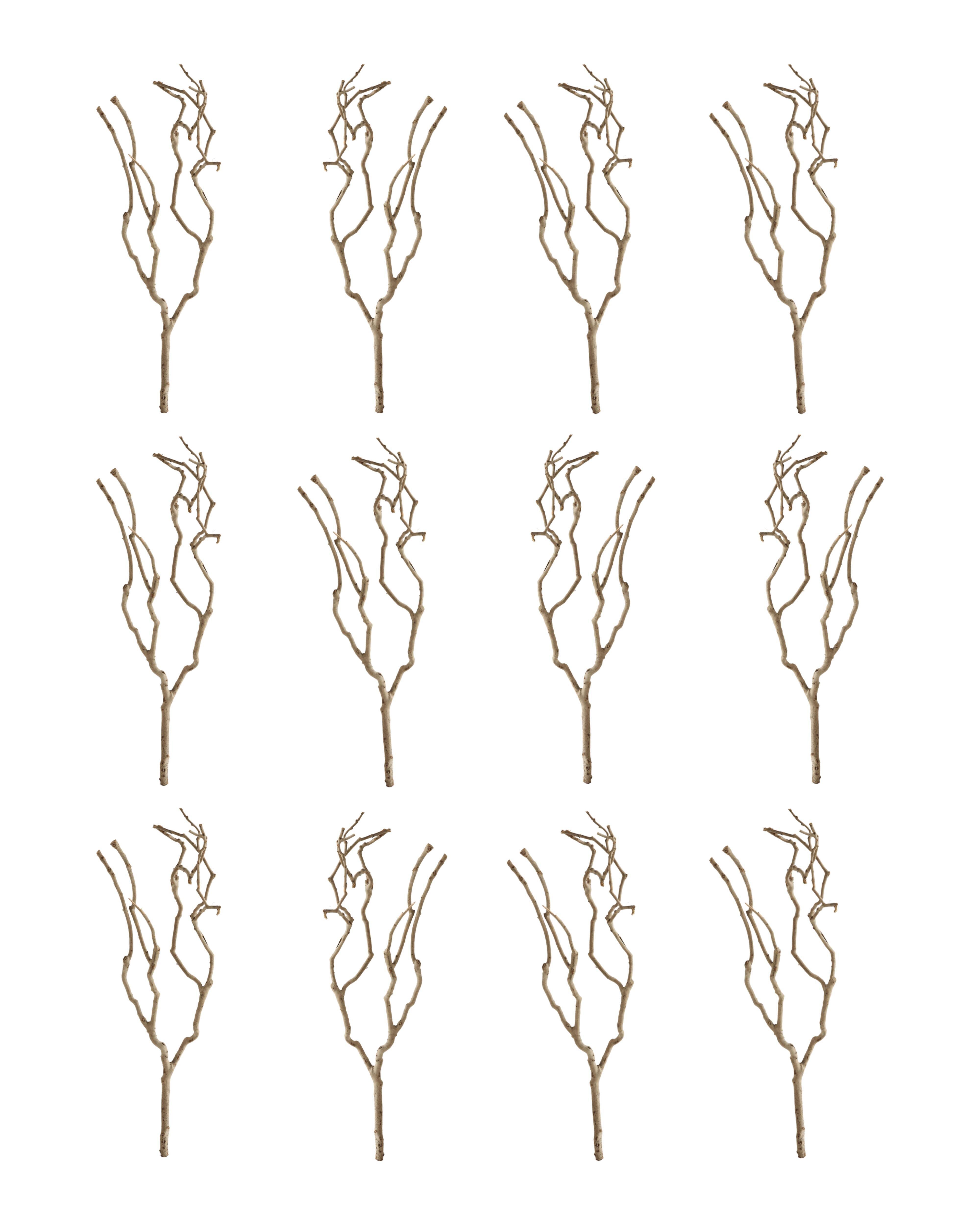 Eco-Friendly Natural Tea Tree Branch Decorations (12 Piece Set) | Image