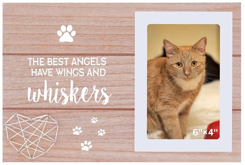 nzy-cat-memorial-picture-frame-for-loss-of-cat-pet-loss-gifts-for-pet-owner-cat-remembrance-frame-gi-1