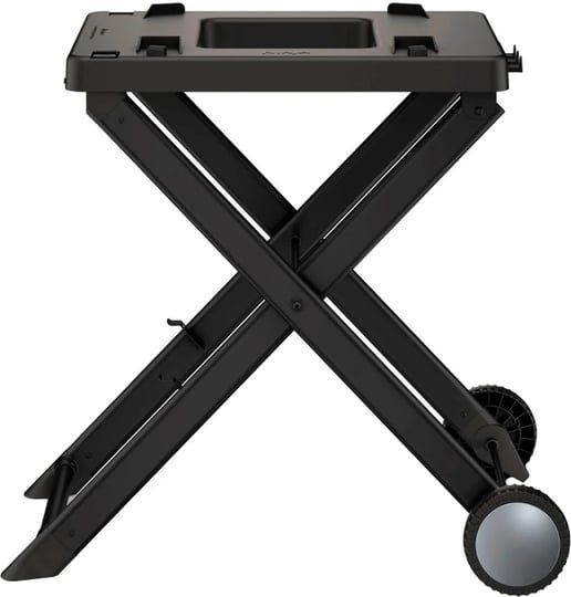 ninja-woodfire-collapsible-grill-stand-xskstand-1