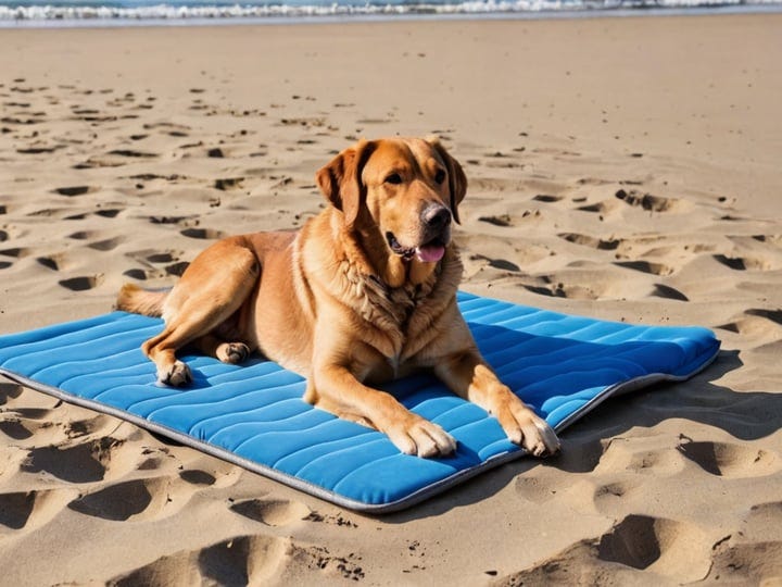 Dog-Cooling-Pad-4