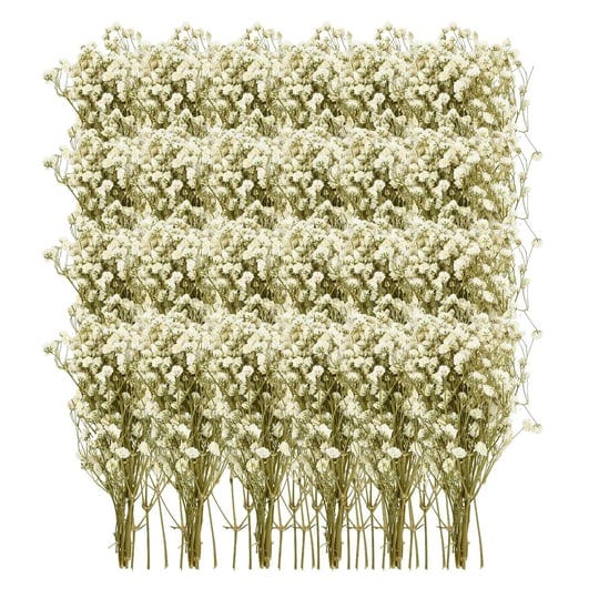 50-pcs-mini-dried-babys-breath-flowers-bulk-3d-stereo-6-inch-3000-ivory-white-flowers-real-natural-g-1