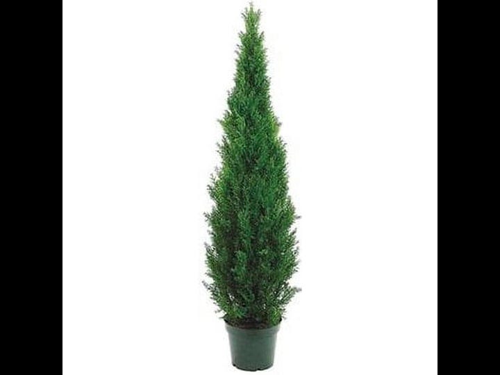 silk-tree-warehouse-two-4-foot-outdoor-artificial-cedar-topiary-trees-uv-rated-potted-plants-1