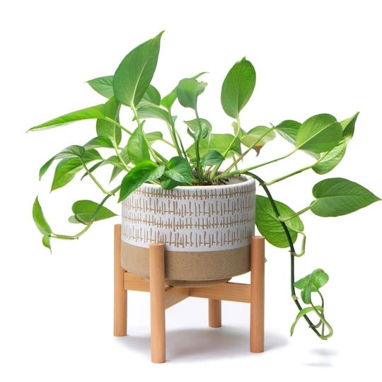 kurrajong-farmhouse-7-25in-ceramic-planter-with-bamboo-stand-indoor-use-caramel-and-white-1