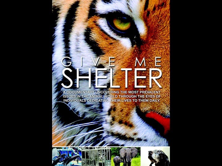 give-me-shelter-1339765-1