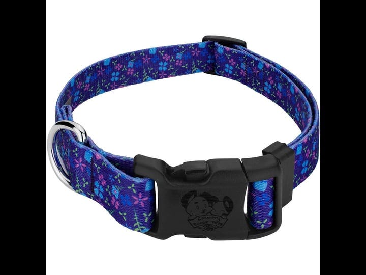 country-brook-petz-deluxe-blueberry-fields-dog-collar-made-in-the-u-s-a-extra-large-size-xl-1in-w-fi-1