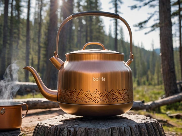 Biolite-Kettlepot-4