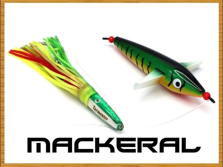 tormenter-tuna-mahi-magnet-mackerel-1