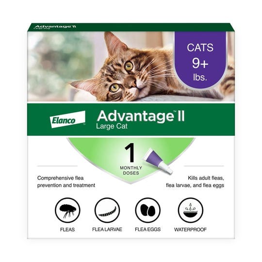 advantage-ii-flea-prevention-for-large-cats-1-monthly-treatment-1