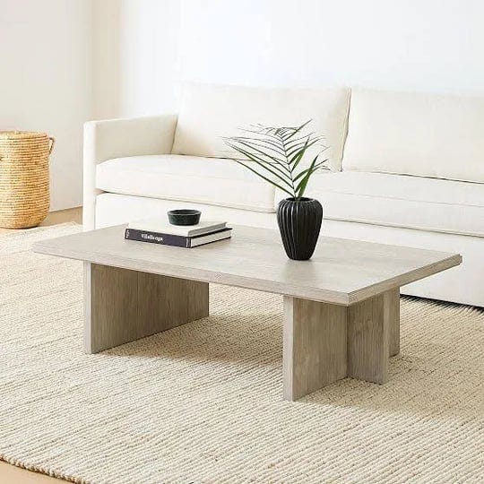 santa-rosa-44-rectangle-coffee-table-driftwood-west-elm-1