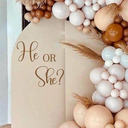 he-or-she-gender-reveal-decal-for-balloon-arch-balloon-arch-decoration-girl-or-boy-backdrop-party-ge-1