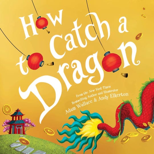 how-to-catch-a-dragon-book-1