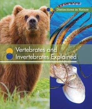 vertebrates-and-invertebrates-explained-2704661-1