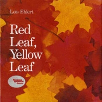 red-leaf-yellow-leaf-1791704-1