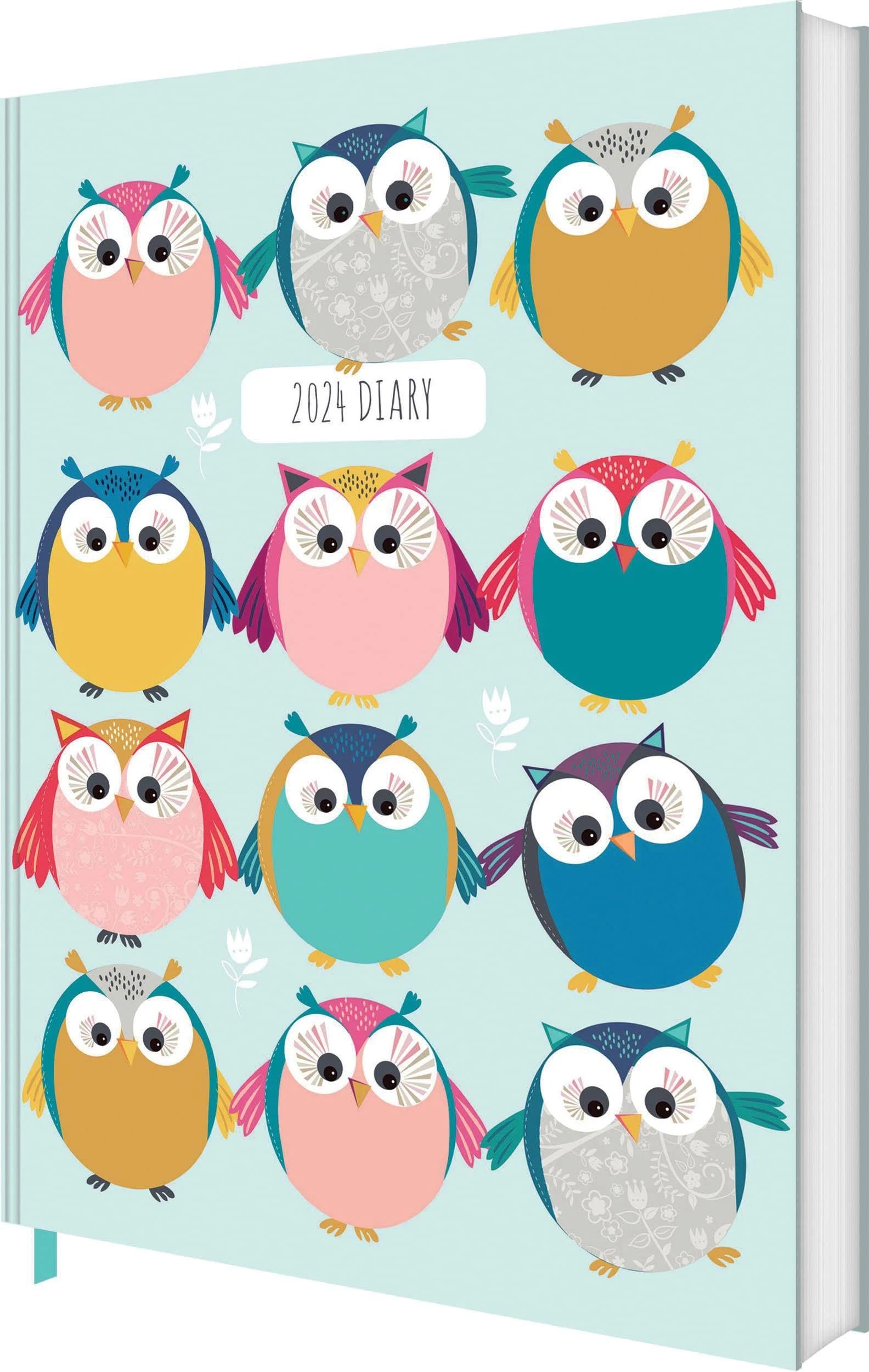 Colorful Owl A5 Diary: Well-Made and Sustainable | Image