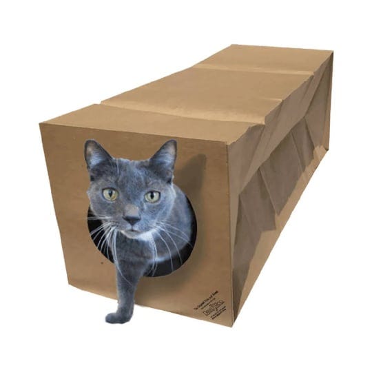 dezi-roo-hide-and-sneak-paper-cat-tunnel-1
