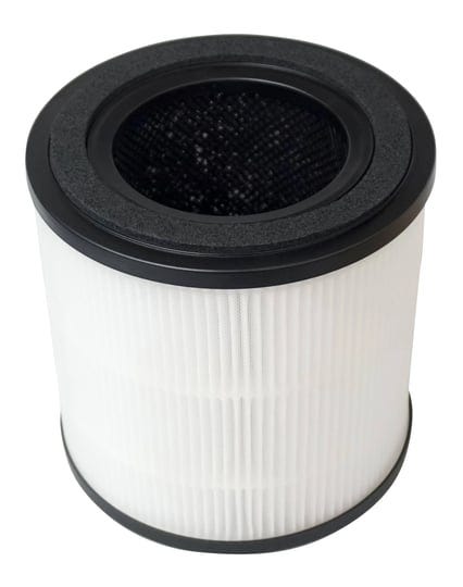 bissell-myair-and-myair-hub-hepa-and-carbon-filter-3389-1