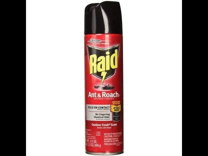 raid-ant-roach-killer-insecticide-spray-outdoor-fresh-17-5-oz-clear-1