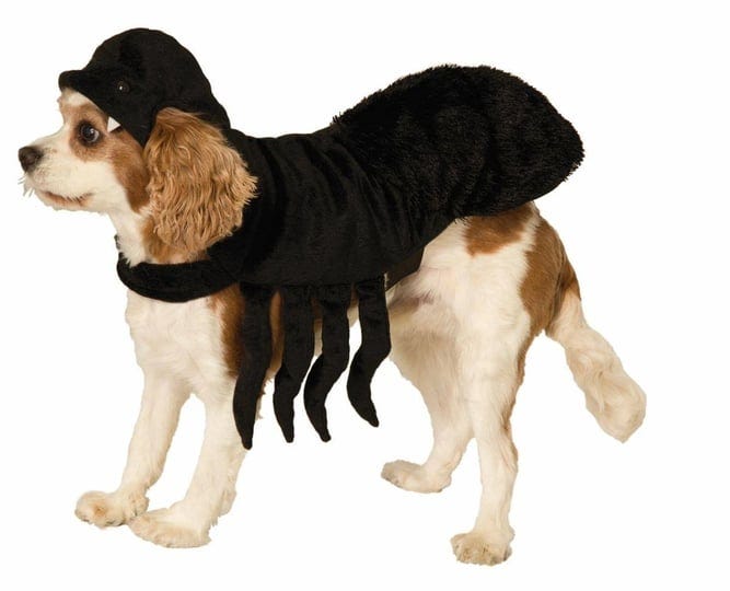 pet-costume-spider-small-1