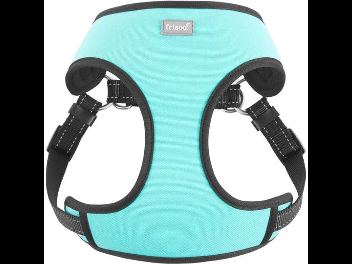 frisco-padded-step-in-harness-turquoise-large-1