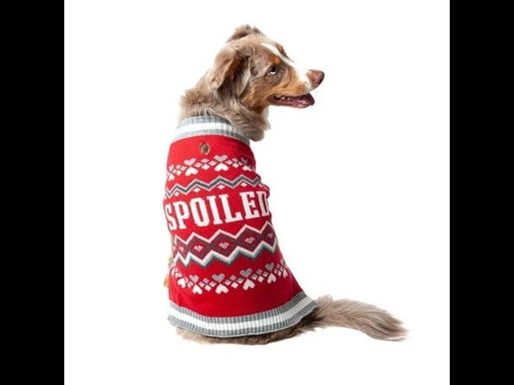 vibrant-life-winter-dog-clothes-spoiled-red-sweater-medium-1